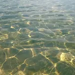 Sole Mare Di Barbara *