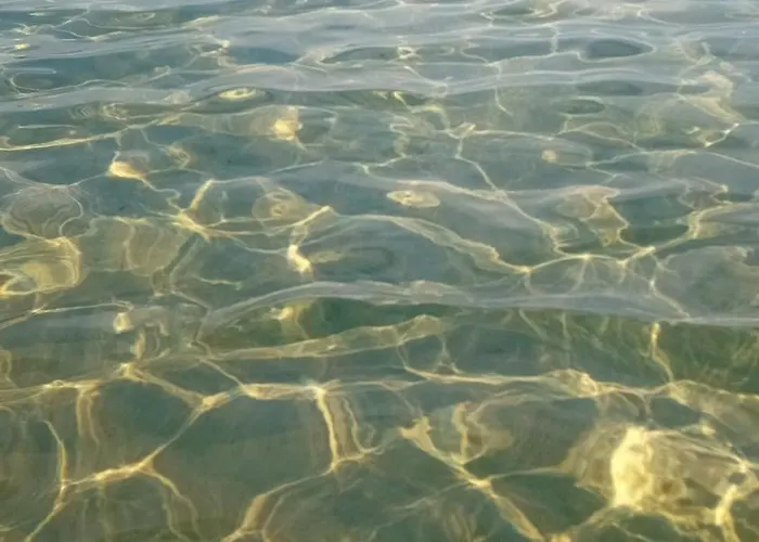 Sole Mare Di Barbara *